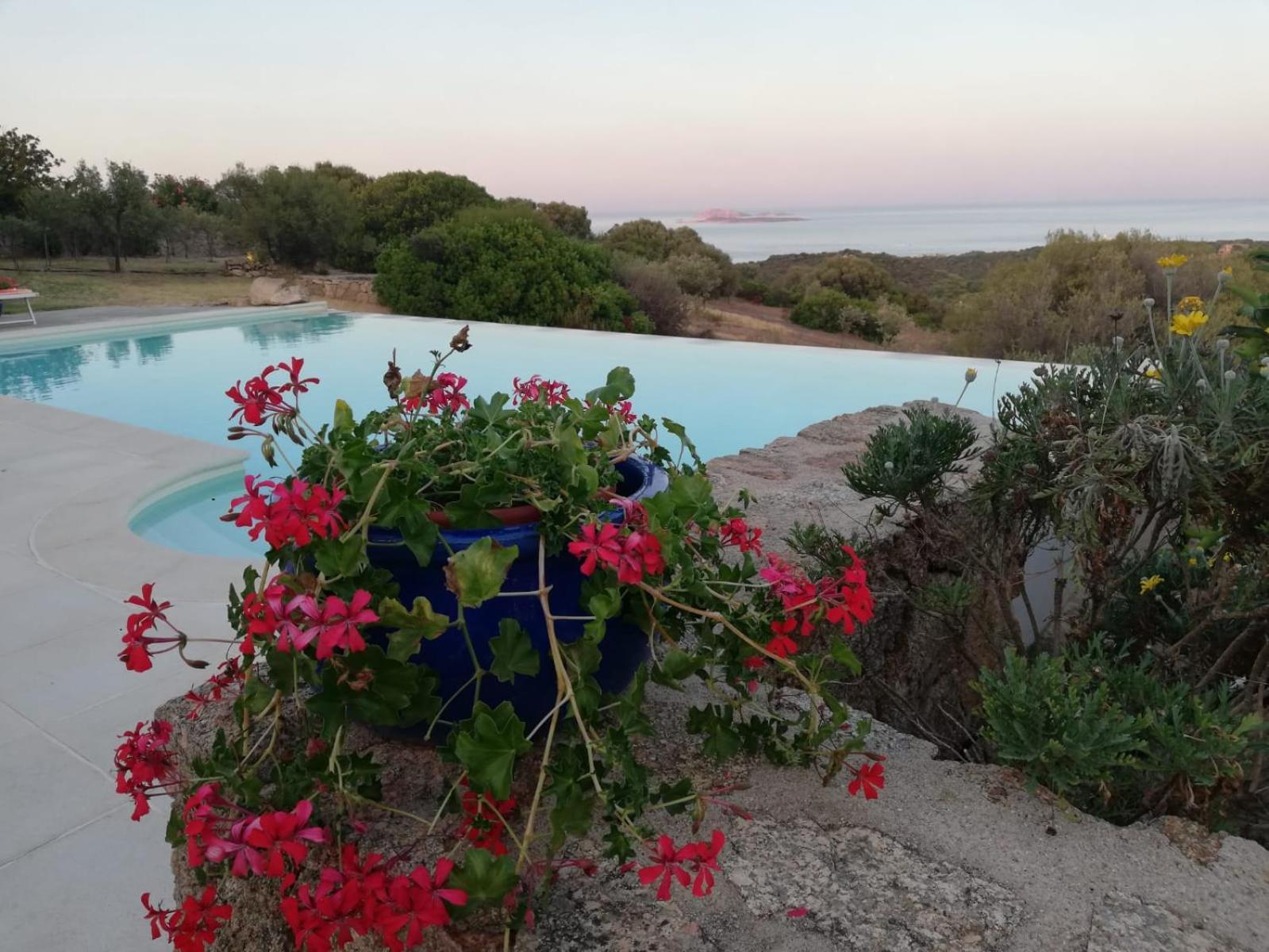 La Sima Con Piscina Vista Mare Sardegna Villa