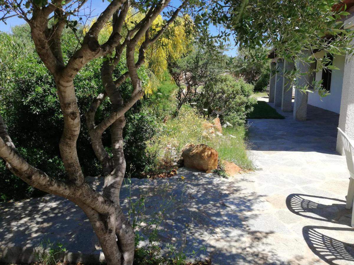 La Sima Con Piscina Vista Mare Sardegna *