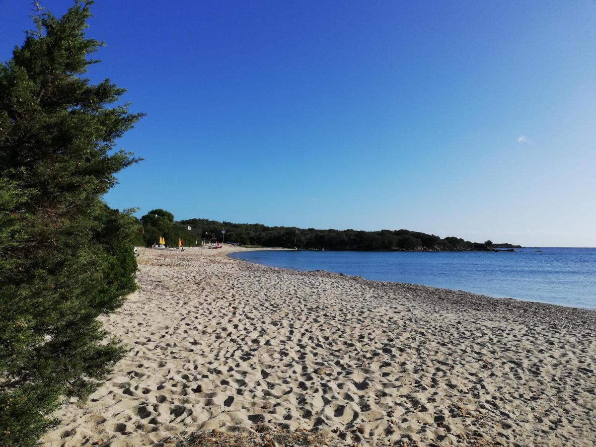 La Sima Con Piscina Vista Mare Sardegna Villa